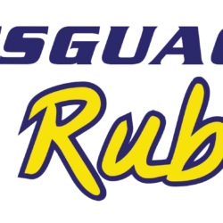 DESGUACES EL RUBIO S.L.