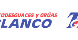 DESGUACES BLANCO