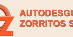 DESGUACE ZORRITO S.L.